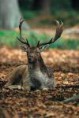 /album/fotogaleria/a1-jpg/